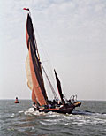 Repertor in action, from the Races picture gallery